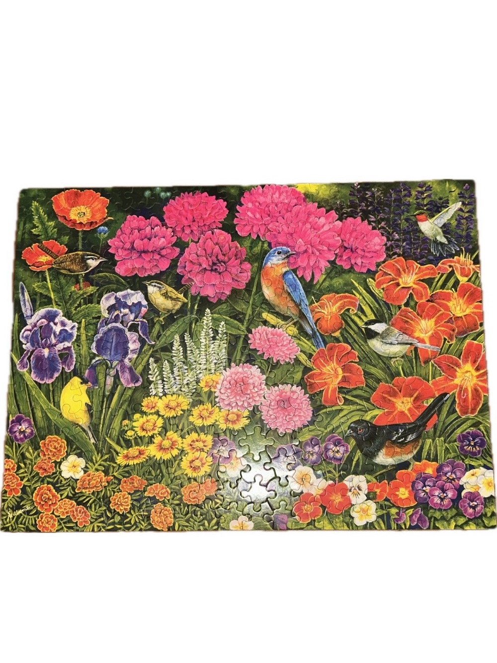 Sandy Williams “Ecosystems” 300-piece Puzzle